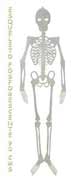 REF 16687 / 2.95 € / 90 CMS