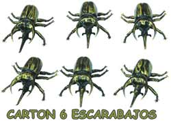 REF 19178 / 1.95 € / CARTON 6 ESCARABAJOS