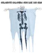 REF 19231 / 23.95 € / CON LUZ , 160 CMS