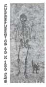 Ref 19334 / 3.50 € / 60 x 150 cms 