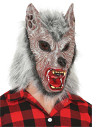 Ref 20502 / 19.99 €