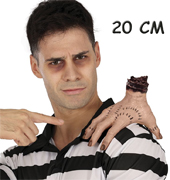 Ref 26534 / 6.99 € / 20 cm